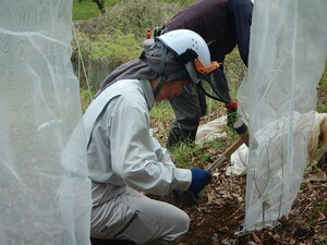 DSCN3412.JPG