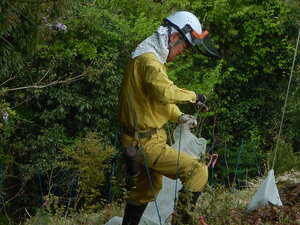 DSCN3419.JPG