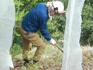 DSCN3420.JPG