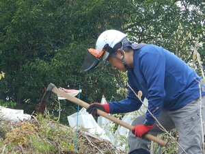 DSCN3431.JPG