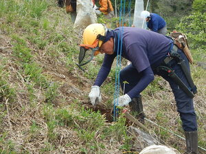 DSCN3448.JPG