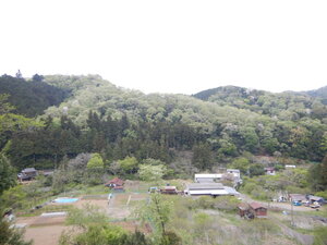 DSCN3459.JPG