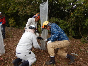 DSCN3480.JPG