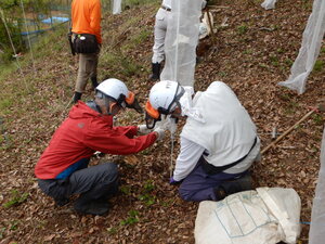 DSCN3501.JPG