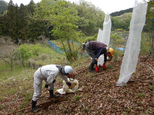 DSCN3503.JPG