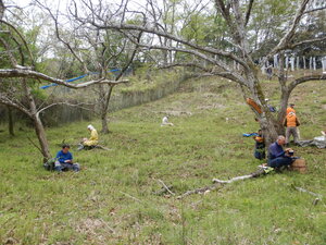 DSCN3519.JPG