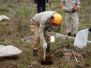 DSCN3536.JPG