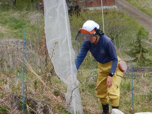 DSCN3538.JPG