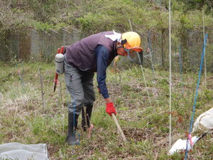 DSCN3539.JPG