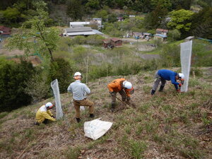 DSCN3554.JPG