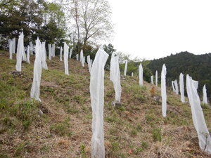 DSCN3558.JPG