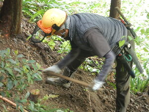 DSCN3962.JPG