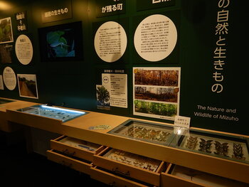 DSCN4218.JPG