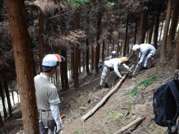DSCN4357.JPG