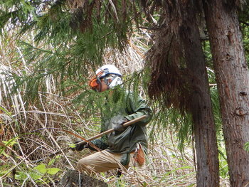 DSCN4400.JPG
