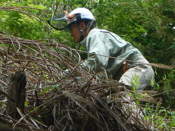 DSCN4476.JPG
