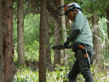 DSCN4489.JPG