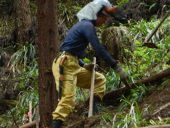 DSCN4490.JPG
