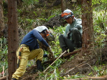 DSCN4491.JPG