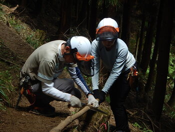 DSCN4518.JPG