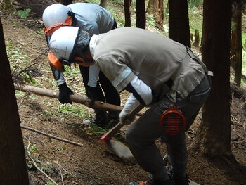 DSCN4521.JPG