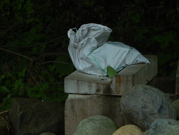 DSCN4525.JPG