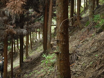 DSCN4564.JPG