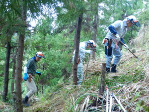 DSCN4738.JPG
