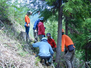 DSCN4780.JPG
