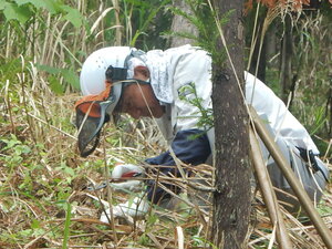 DSCN4786.JPG