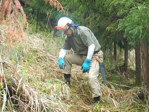 DSCN4787.JPG