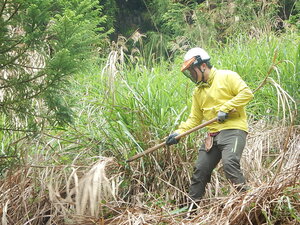 DSCN4793.JPG