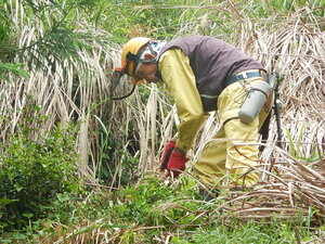 DSCN4794.JPG