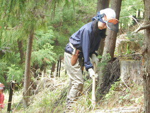 DSCN4806.JPG
