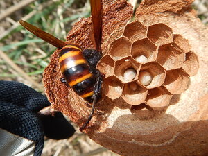 DSCN4826.JPG