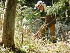 DSCN4871.JPG