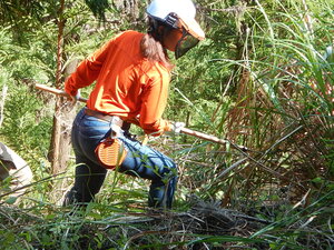 DSCN4874.JPG