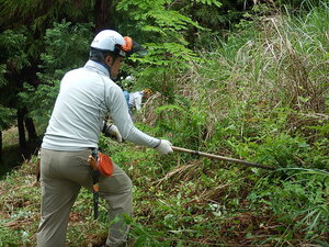 DSCN5249.JPG