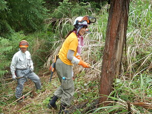DSCN5250.JPG