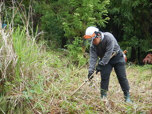 DSCN5260.JPG