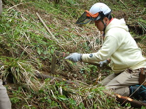 DSCN5272.JPG