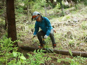 DSCN5275.JPG