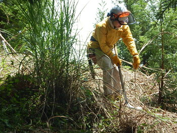DSCN5306.JPG