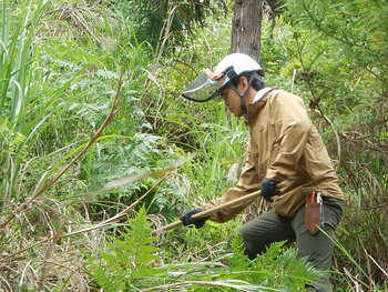 DSCN5331.JPG