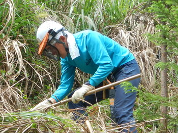 DSCN5335.JPG