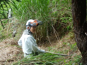 DSCN5370.JPG