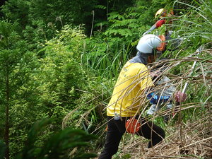 DSCN5372.JPG