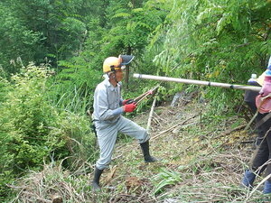 DSCN5374.JPG