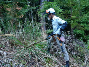 DSCN5377.JPG