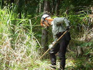 DSCN5382.JPG